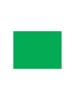 PLACA DE EVA LISO VERDE GRAMA 40X48CM PCT C/10 FOLHAS