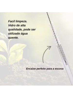 Kit Canudos de Vidro Reutilizáveis c/ 4 Peças + Escova de Limpeza