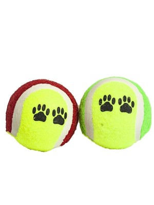 MORDEDOR PET BOLA 6CM C/2 PCS UN. RIO TIJUCAS